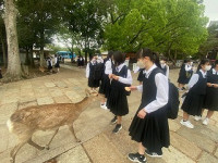 image5