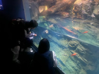image11