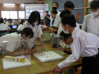 DSCN7947