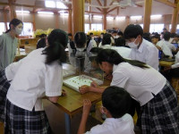 DSCN7952