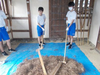 DSCN8240