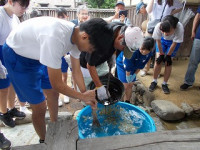 DSCN8300