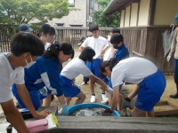 DSCN8326