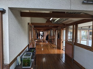 PXL_20260413_060326944