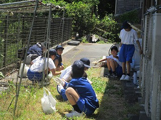 IMG_8213