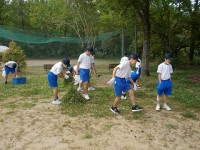 DSCN8046