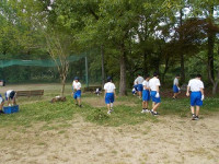 DSCN8047