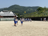 IMG_0529