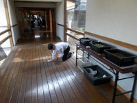 DSCN8054