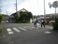 DSCN8262
