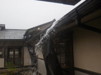 DSCN8285