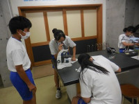 DSCN8295